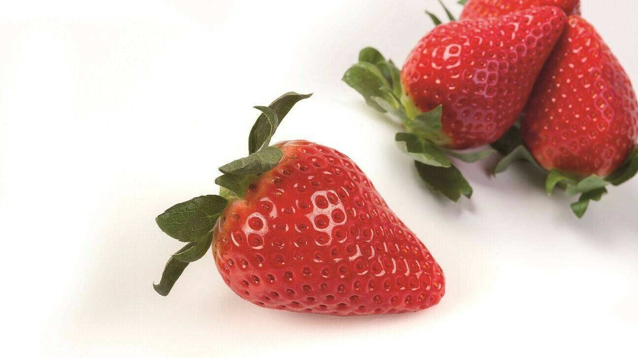 Savana (1)|Savana (2)|Savana